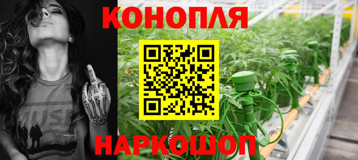 Каннабис Bruce Banner  Марихуана гибрид  Вход с VPN  Видное 